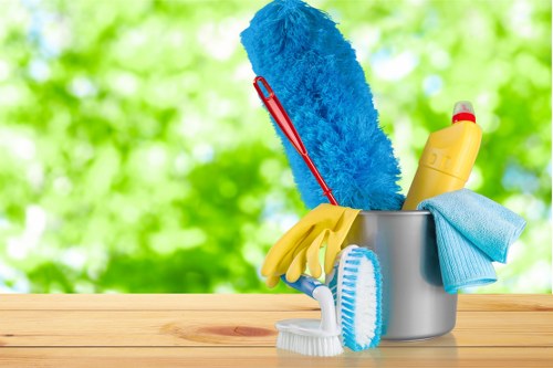 Stain removal solutions for carpets and upholstery in Primrose Hill
