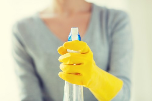 Example carpet cleaning jobs for local homes and businesses