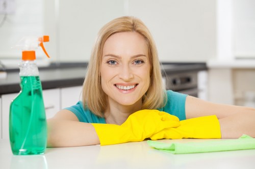 Professional stain removal tools for delicate fabrics in Primrose Hill