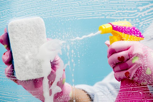 Professional upholstery cleaning in a Primrose Hill living room