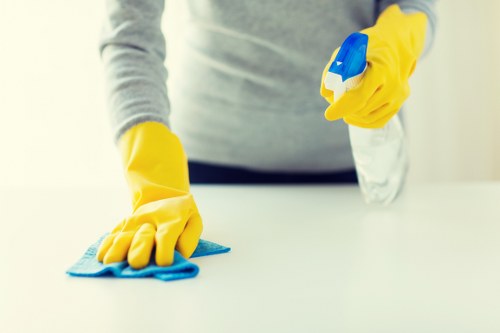 Professional carpet cleaning in a Primrose Hill living room