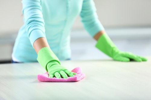 Cleaner checking products and equipment before use