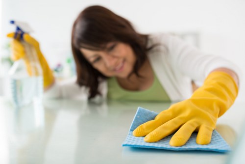 Accessibility request section for Primrose Hill Carpet Cleaners