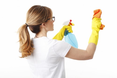 Steam carpet cleaning service in a Primrose Hill property