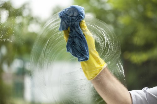 Deep cleaning a sofa during upholstery cleaning in Primrose Hill