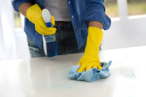 Deep carpet cleaning equipment in a Primrose Hill home